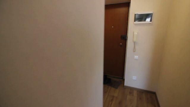 Сдам ( Сниму ) 1 комнатную квартиру в Самаре, ул.Мориса Тореза 7. Код 100 801 смотреть онлайн
