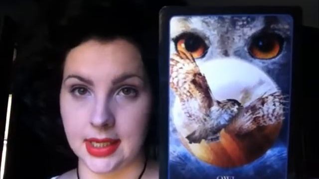 Viewer Request: Halloween Oracle by Stacey DeMarco смотреть онлайн