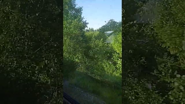 Балаково город лесопарк) #балаково #путешествия #поволжье смотреть онлайн