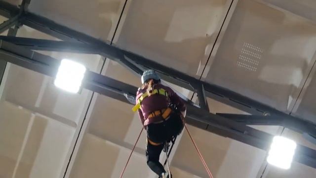 Коляскин и Бегунов Залинг 2022 смотреть онлайн