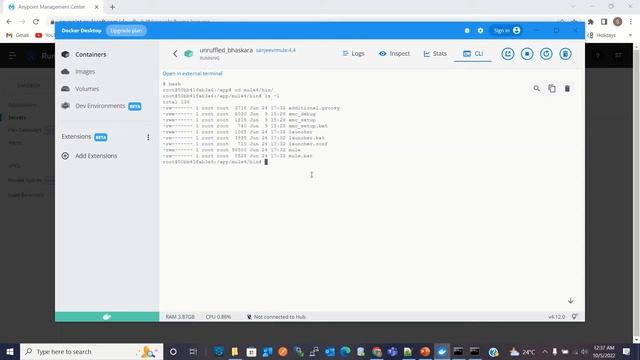 Mule 4 Dockerization, Register and Set Up Servers and Mule Cluster смотреть онлайн