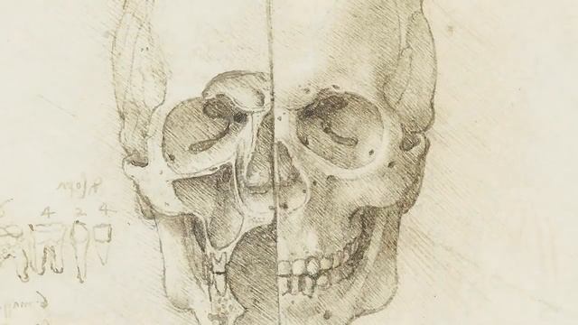 Leonardo da Vinci: Anatomist смотреть онлайн