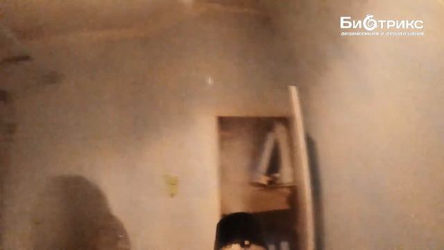 Клопы в Ногинске.Как работает СЭС?Цена для квартиры смотреть онлайн