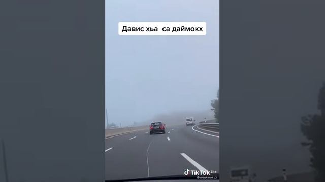 Тоита Исраилова смотреть онлайн