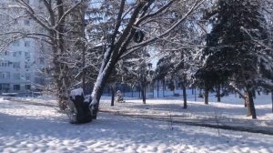 #железноводск 20 декабря 2022 #горы #кавказ #кисловодск #пятигорск #ессентуки #минеральныеводы #кмв