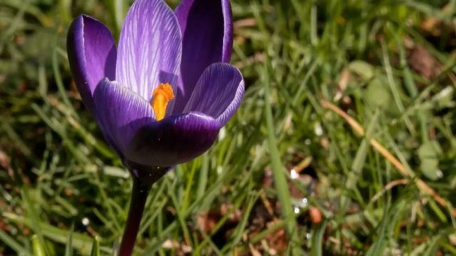 Olympus SZ 14 смотреть онлайн