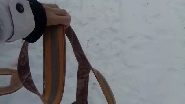 Одеваем Шлейку Маламуту. ШЛЕЙКА ДЛЯ МАЛАМУТА