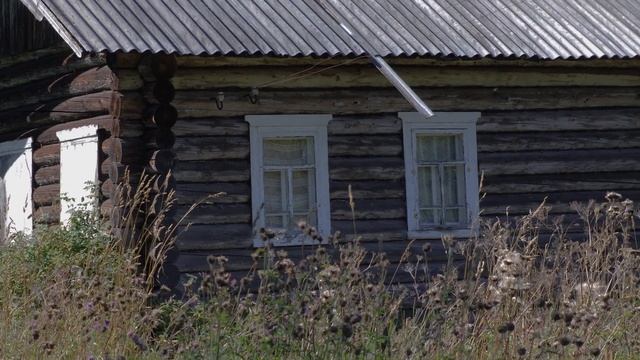 Canon eos m50 | cinematic footage 4k | nature in the village смотреть онлайн
