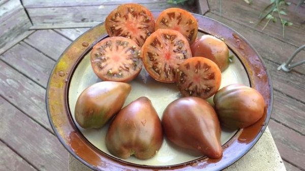 Dwarf Purple Heart Tomato Delicious And Beautiful