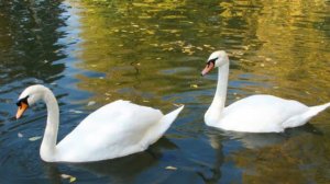 Д. Ласт "Одинокий пастух"