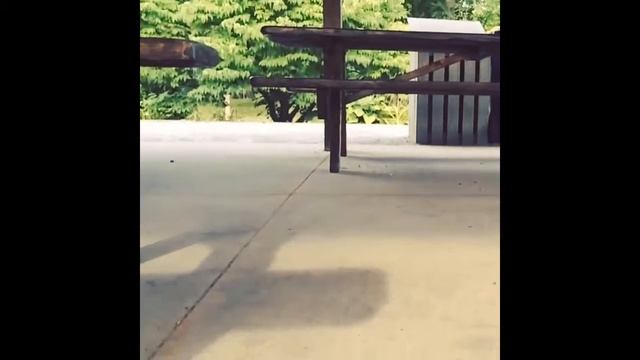 2-1/2 foot bunny hop смотреть онлайн