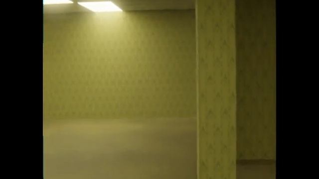 Backrooms - Sony Handycam DCR-DVD405E смотреть онлайн