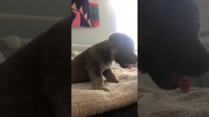 Сфоткай меня