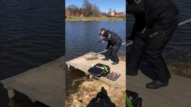 Хатунь!Рыбалка!Сытый Кот! смотреть онлайн