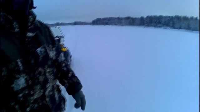 В поисках окуня на курье./Рыбалка Севера. смотреть онлайн