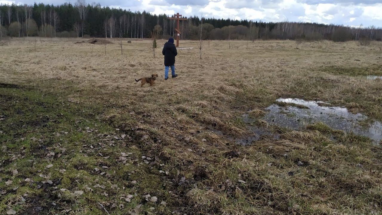 На Прогулке смотреть онлайн