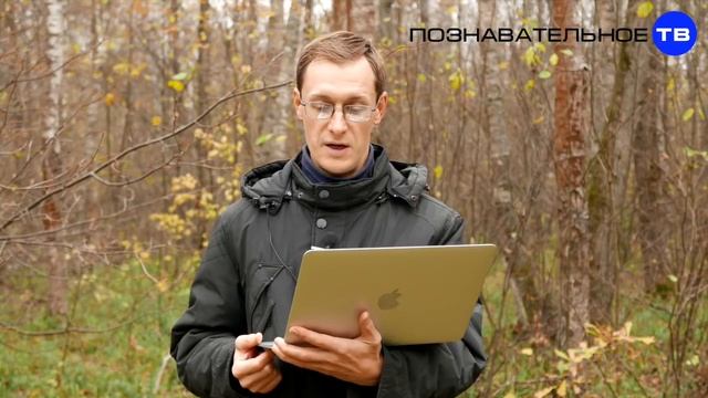 НЕВОЗМОЖНАЯ гранитная ЦАРЬ ванна. Древние технологии (Познавательное ТВ, Артём Войтенков) смотреть онлайн