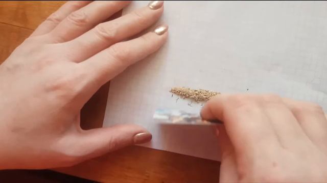 Спасение щенка той терьера от глистов или как правильно глистовать смотреть онлайн