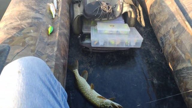 Ловля щуки в жару.Релакс копыто 3. смотреть онлайн