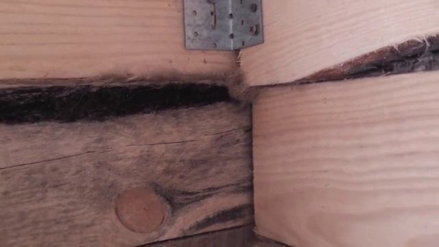 Осмотр деревянного дома как я строил, первый опыт смотреть онлайн