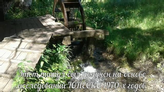 Путешествия на велосипеде. Выезд к Истокам Хопра. Где берет начало самая чистая река Европы? смотреть онлайн