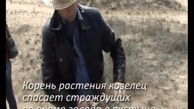 Украинская пустыня. Алешковские пески смотреть онлайн