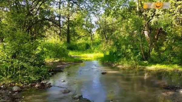 Настрой Сытина! ДЛЯ МУЖСКОГО ЗДОРОВЬЯ ! Исцеление предстательной железы