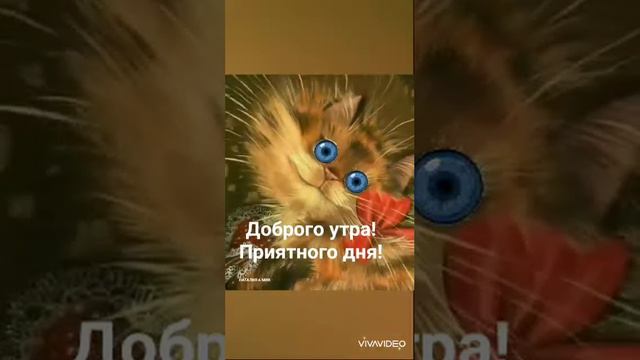 Пятничного настроения! смотреть онлайн