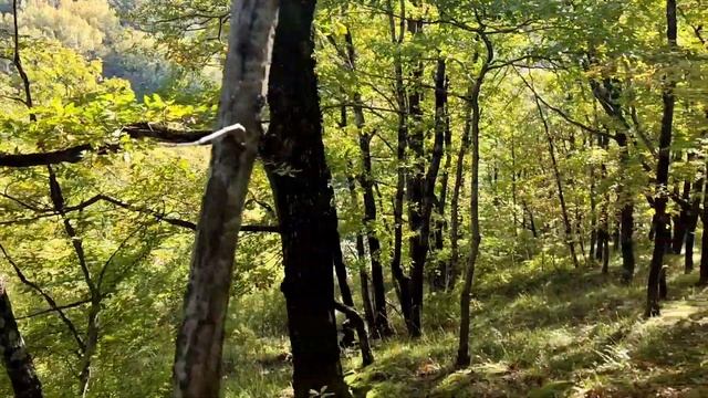 Туапсе. Прогулка пешком вдоль моря. Туапсе - Южный.