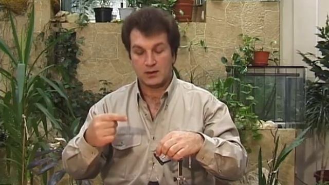 Работа с пером павлина смотреть онлайн