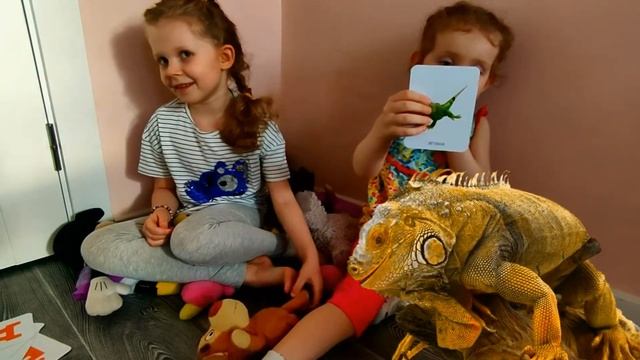 Изучаем алфавит и животных. Познавательные карточки. Что это за буква? Что это за зверь? смотреть онлайн