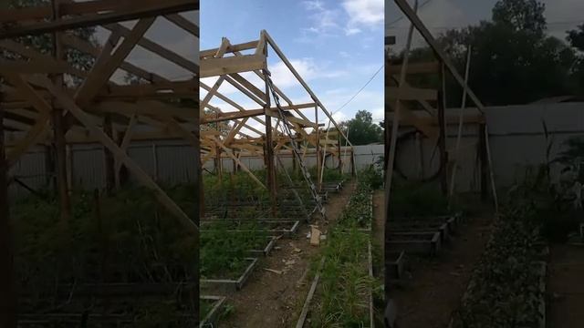 #втеплице #фермер 
#теплицыволя #фермерство #стеллажи #рассада #дачныйсезон #фермерскоехозяйство #р смотреть онлайн