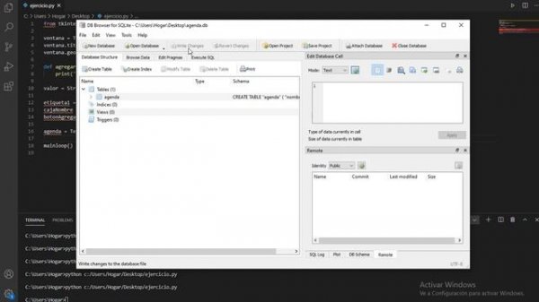 Python tkinter SQLITE