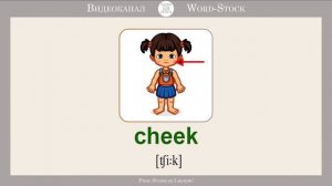 Части лица на английском.