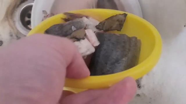 слабосалёная горбуша делал в первый раз получилось шикарно . смотреть онлайн