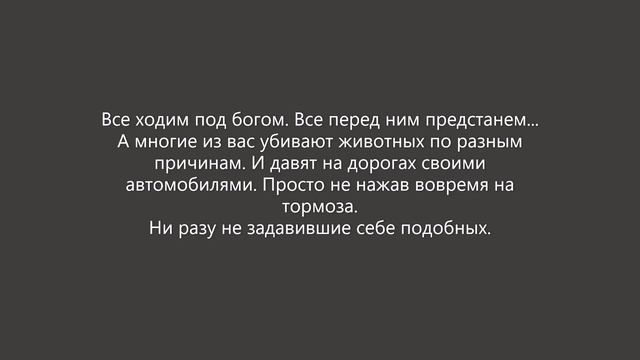 Обращение к людям бездомного беспородного пса смотреть онлайн