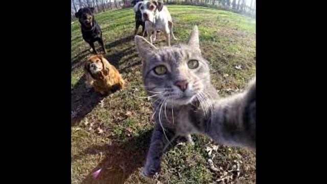 Mama im a criminal смотреть онлайн