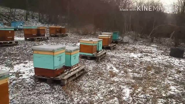 Зима, 07 січня 2017 р. смотреть онлайн