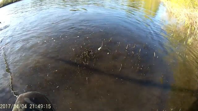 Рыбалка с ночевкой на сазана в пруду Мокрая савалеевка... смотреть онлайн