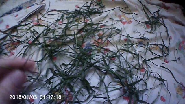 Место Жительства Моих Морских Свинок! Что Должно Быть В Клетке У Морских Свинок смотреть онлайн