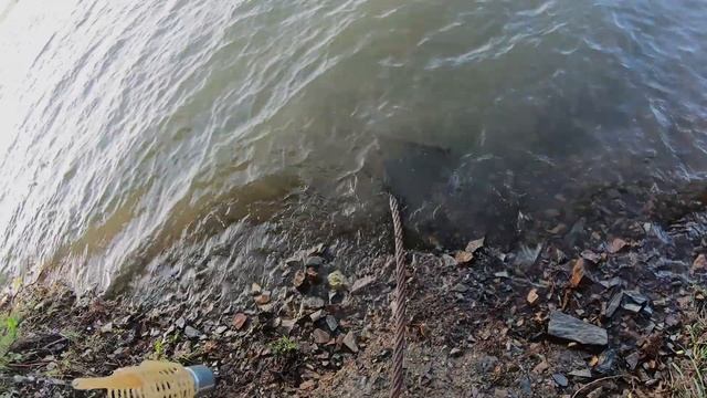 Рыбалка на Новом Затоне в Новосибирске смотреть онлайн