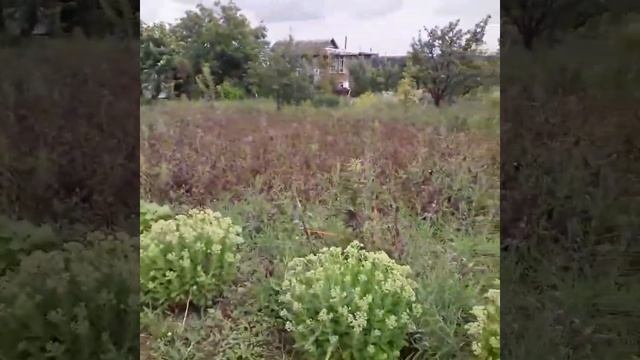 Ответ подписчику моего канала, как выглядит нижний брусок треугольного сечения магазинной рамки смотреть онлайн