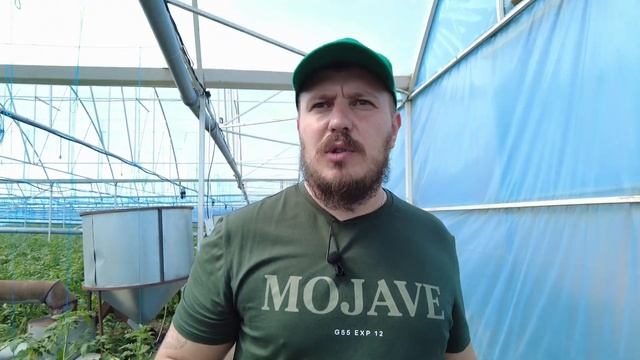 Нашествие муравьев. Жирование. Как боремся? Почвенные вредители смотреть онлайн