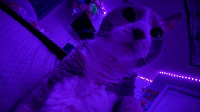 BEST PHONK MIX ｜ ATMOSPHERIC PHONK PLAYLIST ｜ CHILL PHONK ｜ NIGHT DRIVE MUSIC ｜ PHONK 2024 смотреть онлайн