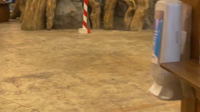 Остров мечты КАК Сэкономить на билетах? Обзор Острова мечты Москва осень 2021 смотреть онлайн