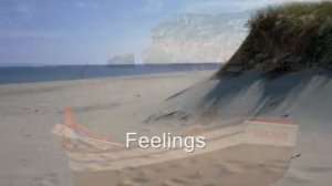 Feelings - Morris Albert