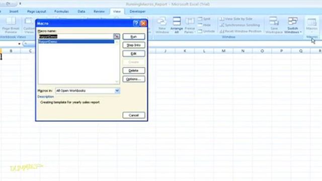 How to Run Macros in Excel 2007 For Dummies смотреть онлайн