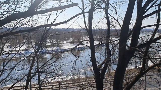 Воронина Лайф \ Обзор влогов \ Белье на камеру - это НОРМА?! смотреть онлайн