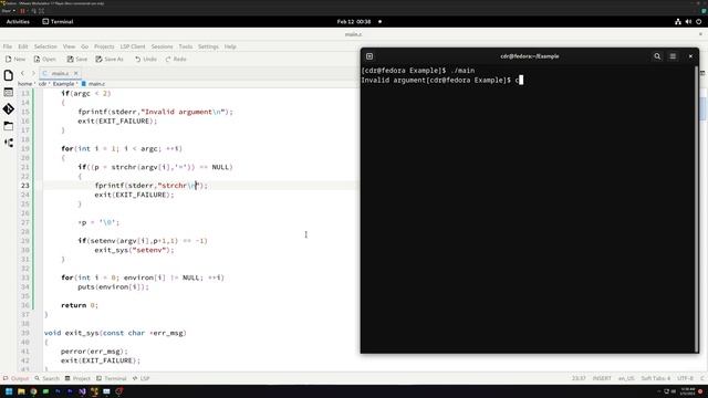 POSIX Functions | setenv | getenv смотреть онлайн