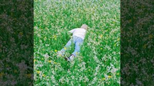 Porter Robinson & WEDNESDAY CAMPANELLA - fullmoon lullaby